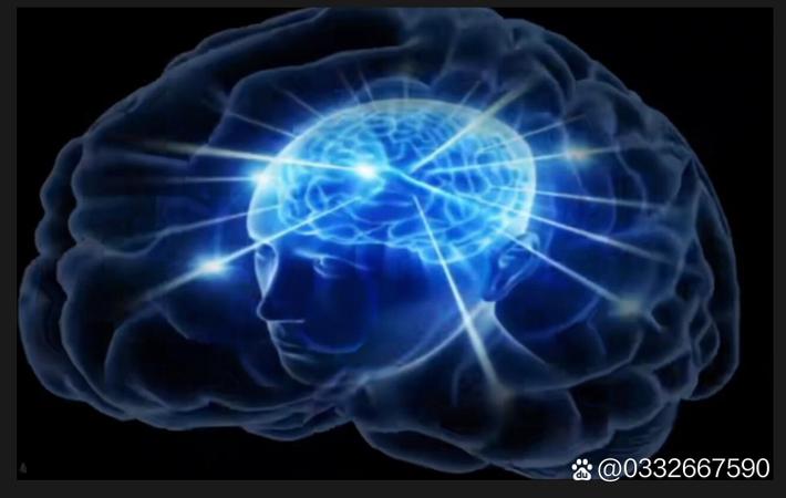 某上市公司CEO离婚案开庭,财产分割涉及数十亿资产